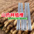 轩之准 种植山药神器模具槽专用的淮山铁棍棒立体浅生长引导1.2加 0.8米特厚40丝100条
