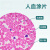 人血涂片红细胞白细胞显像清晰易观察生物显微镜标本切片显微玻片 一盒人血涂片(100片)