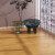 圣象包安装地板多层纯实木复合木地板家用耐磨防潮地暖通铺NM9911 NM9911(琼树灵花)包安装送辅料 1