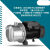 增压水泵BJZ60Hz不锈钢射流式自吸泵喷射泵三相380V220V 国外750w220v/60hz