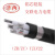 津西 铝芯铠装交联电力电缆（ZR/ZC）4+1  YJLV22  （单位：米） 4X120+1