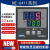 NE-6411V-2DN上海亚泰仪表温控器NE-6000现货NE-6411-2D温控仪 NE-6411-2(N)