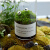 七抒生态瓶青苔苔藓微景观绿植物盆栽鲜活创意diy小盆景桌面摆件 羊羊得意