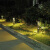 中恒朗 CPD-T260 LED户外防水草坪灯 简约现代别墅庭院园林花园公园草地灯景观灯 B款0.6米高 暖光（太阳能）