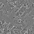 遄运单分散聚甲基丙烯酸甲酯微球 PMMA微球 微塑料（0.05—200微米） 2微米 2克