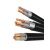 国标YJV铜芯电缆2/3/4/5芯10/16/25/35平方四线地埋铠装电缆 国标铜线YJV4101（10米）