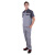 斯卡地尔（Scotoria）半袖工作服套装 分体式夏季半袖舒适高棉TC1501双灰色1套M码