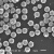 单分散聚苯乙烯磁性微球ps微米/纳米磁珠羧基化生物磁珠偶联 氨基化磁珠 10毫升 2.5%固含量25mg/ml