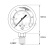 1/4 BSP表盘68mm直径径向压力表注油防震气压表水压表油压表液压表 0-10bar 0-160psi