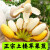 七叶岛 福建漳州土楼苹果蕉正宗新鲜小米蕉水果当季自然熟甜糯海南水果 5斤