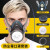 代尔塔（DELTAPLUS）防毒口罩面具全面罩工业防尘喷漆专用防护罩面罩粉尘二手烟呼吸 防尘毒套装+100片滤棉