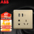 ABB开关插座面板 五孔插座带双USB充电插座 远致系列 金色 293-CG