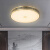 忆往昔 全铜新中式客厅灯吸顶灯简约卧室餐厅LED铜灯大气灯具中国风灯饰 圆形 如意图案/50cm/三色光