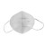 君御（Exsafety） KN95耳带式 折叠口罩 防颗粒物防粉尘粉末口罩 50只/袋 环保装 G9521