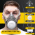 LISM防毒口罩面具全面罩防尘防工业化工喷漆专用防护气体放毒氧气面罩 高效KN95滤棉 30片
