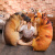 创意仿真狗狗抱枕3d毛绒玩具恶搞怪狗头玩偶女生抱着睡觉床上公仔 土狗 70厘米(20厘米一个)