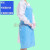 惠利得（HUILIDE）防尘围裙套袖无尘室电子厂工厂工作防污防粘毛毛工作围裙 天蓝色围裙/条