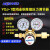 定制适用Honyeo鸿业减压阀YQJ-1铜单级压力调节器氮气氢气标气减压器 YQJ-1(25*0 YQJ-2(25*0.16)