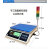 上下限报警秤声光同步检重定量灌装电子称30/20/15kg/0.1g 10kg0.01g带灯