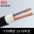 慧远 电线电缆YJV两芯 2x10平方 电缆平方铜制电缆国标 足方足米（1米）