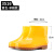 工厂卫生靴中高筒白色雨鞋防滑耐油耐酸碱水靴男女厨师工作鞋 3516短筒黄色（不加棉） 36