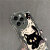 富典可爱小黑猫适用于iPhone15手机壳苹果14/13/12/11华为荣耀90Pro全包OPPO小米VIVO防摔电镀文理女款 电镀-DDQBW738 VIVO-Y30/Y20