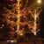 工创优品 户外彩灯led灯串插电室外防水树灯满天星彩灯新年圣诞婚庆串灯节日装饰灯 彩色30米300灯