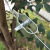 奔新农（BENXINNONG）铁丝紧线器托幕线拉直器猕猴桃钢丝绳收紧葡萄架大棚塑钢线紧绳器 80%23穿2.0的线