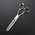 BARDOLPH专业级理发剪刀 美发剪大师级高档数控牙剪专业剪发工具 BD-F10880/方承士 6.0牙剪