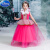 迪士尼（Disney）女童公主裙爱莎安娜爱洛公主连衣裙蓬蓬纱礼服六一儿童演出服装 单裙子 110cm
