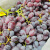 智利空运无籽红提2斤新鲜红提子葡萄当季进口品种孕妇 2斤 10-10g