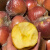 大沙河红富士苹果徐州丰县特级新鲜野生脆甜水果10斤冰糖心丑萍果 70mm(含)-80mm(不含) 21-24个装  9斤
