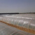 威厉固得 农用透明小拱棚 塑料膜塑料布地膜保温薄膜蔬菜大棚内棚育苗膜 宽2.5米*长约160米*厚2丝 10kg/卷