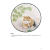 团扇工笔猫画法详解邢诚爱绘天津杨柳青画社9787554712573 绘画书籍