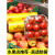 保鲜膜商用大卷级家用美容院专用水果西瓜超市打包膜保鲜膜套 10cm宽*300米(捆扎膜)1卷 1