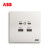 ABB开关插座轩致系列双USB五孔线充电type-c快充86墙壁面板 AF293-PG五孔带双USB