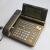 定制宝泰尔Q22商务办公来电显示电话机 白屏 温度 黑名单可摇头 金属灰