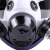 护力盾防毒面具 全面罩球形防粉尘防有害气体化工厂防护套装 CF-2单面具+滤毒盒4号