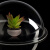 CLCEY定制透明压克力半球罩玻璃半圆球形灯罩猫窝太空舱塑料空心球 150mm半球 5mm无边拼球