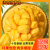 南业果（NANYEGUO）【正常发货】海南三亚菠萝蜜现摘新鲜水果当季黄肉干苞一整个 15-20斤