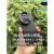 雷米瑞适用小米14pro系列滤镜壳摄影手机镜头壳外接滤镜保护镜头盖摄影 模拟单反套装(变焦手柄) 小米 14 Pro