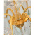 鹿藤全铜美式蜡烛水晶灯 现代法式卧室衣帽间餐厅房吊灯 5头-直径45CM(配送三色光源)