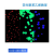 红色/绿色/黄色/蓝色聚苯乙烯荧光微球稀土铕时间分辨荧光微球 100微米 2.5% 20毫升25mg/ml