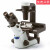 CX33CX23CX31生物荧光医疗科研双目三目显微镜 奥林巴斯BX43