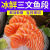 新鲜国产新疆三文鱼整条生吃中段生鱼片刺身日料寿司拼盘即食海鲜 去皮三文鱼 简装 1200g