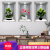 LISM唯墨香植物花卉3D效果盆栽贴画过道楼梯装饰画宾馆餐厅壁画自粘画 白框3D向日葵 超小号三张是一套哦宽30厘米*高