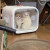 小佩宠物烘干箱 猫咪吹风吹水专用家用洗澡自动吹干神器小型狗狗 小佩pro抑菌款烘干箱