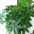 仿真发财树盆栽室内客厅落地装饰绿植假树树塑料树 1.5m辫子发财 1.5m辫子发财树