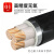 珠江电缆YJV22国标2 3 4 5芯4 6 10 25 35平方芯铠装电线 YJV22 国标3芯X10平方 1米