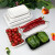 一次性托盘超市长方形塑料水果蔬菜打包盒猪肉生鲜托盘 1710A红色【100个】